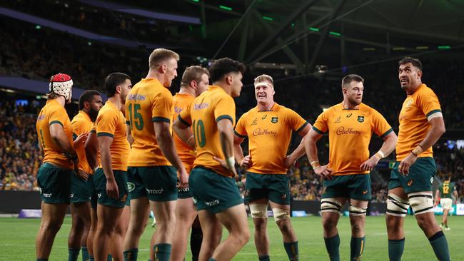 The Wallabies are trying to win the Bledisloe Cup for the first time since 2002.