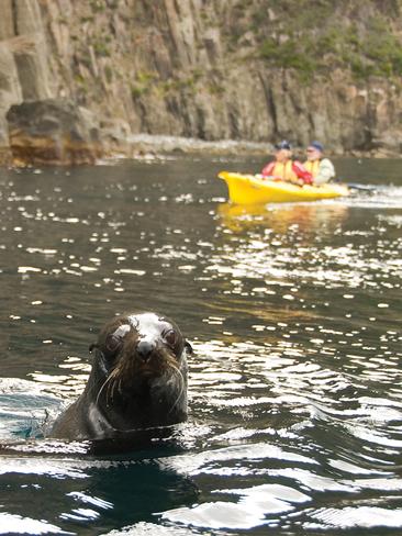 Roaring 40's Kayaking.