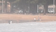 A man and a woman jumped into the large surf at Collaroy beach to rescue an unconscious surfer as more members of the public wait on the beach to start CPR. Exclusive picture: John Grainger