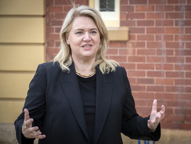 Madeleine Ogilvie was once a Labor member but went independent in 2019. At the 2021 election, she switched to Liberal. This is the second time she’s won a seat as a Liberal. Picture: Chris Kidd