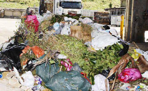 Organic waste is dumped with general waste at the Ballina Shire Council’s waste services facility. The council is aiming to recycle all its organic and green waste when it starts kerbside collections from next July. . Picture: Jerad Williams