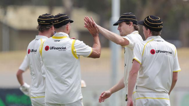 Torquay players celebrate a wicket against Leopold. Picture: Mark Wilson