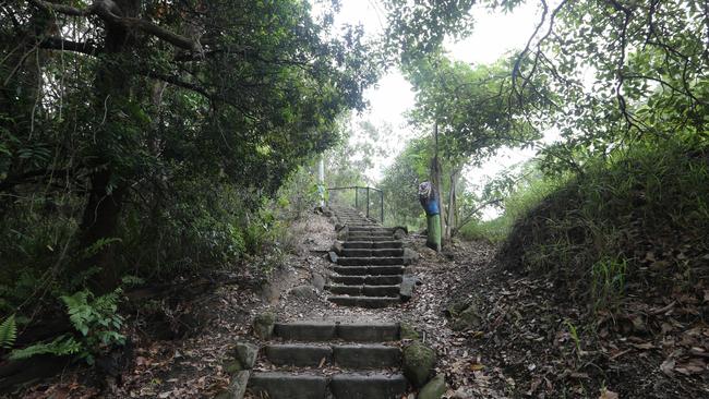 Access points to Burleigh Ridge Park. (Opposite Peggs Road) Picture Glenn Hampson