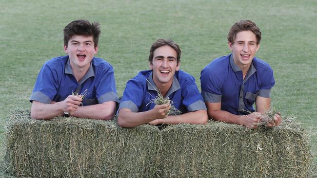 Churchie students Jack Butler-Wood, 18, Nicholas Malouf, 18, and Aaron Prosser, 18. Picture: Annette Dew