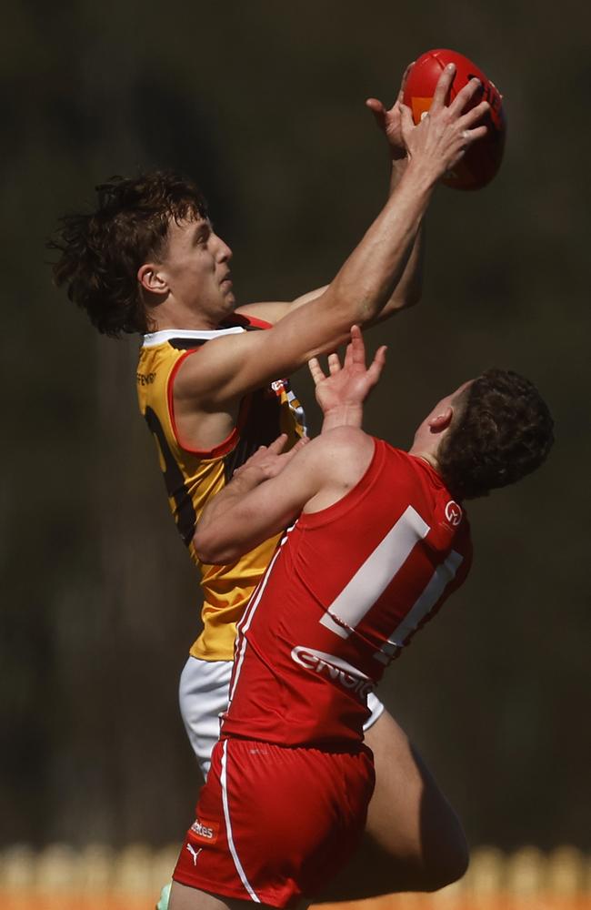 Elwood Peckett brings in a mark for the Stingrays. Picture: Daniel Pockett/AFL Photos