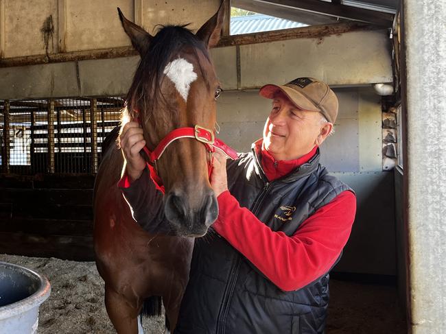 Lawrie Mayfield-Smith with his Tattersalls Tiara contender Charmmebaby at his Hendra stables. Picture: Trenton Akers