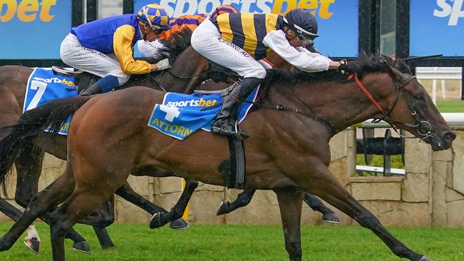 Attorney takes out the Pakenham Cup after a superbly judged ride by Nash Rawiller.