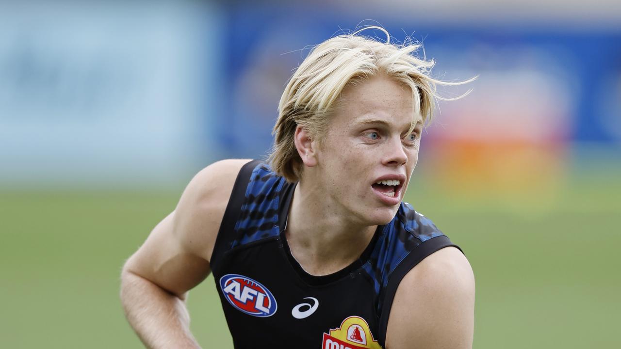 Two debuts and former blue: Dogs spring selection surprises