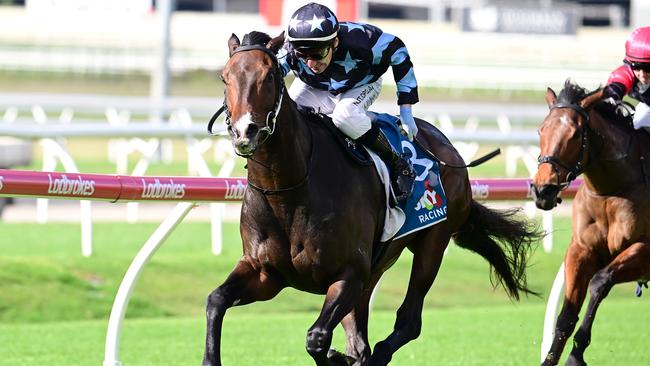 Racehorse Hype, trained by professional polo player Aiden Nunn, is heading to the Rockhampton Cup. Picture: Grant Peters/Trackside Photography