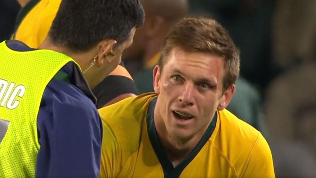 Wallabies Vs South Africa Live: updates, scores, blog, Rugby ...