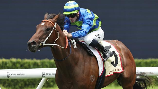 Tyler Schiller rides Gallo Nero to victory at Royal Randwick on Saturday. Picture: Jeremy Ng / Getty Images