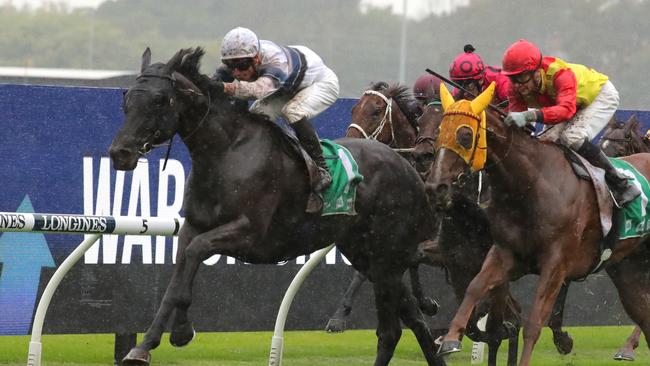 Bianco Vilano is back for his second crack at the Country Championships final. Picture: Jeremy Ng/Getty Images