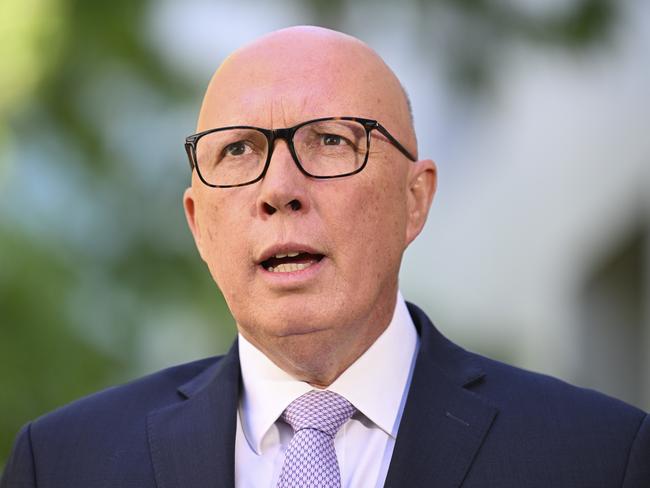 CANBERRA, AUSTRALIA - NewsWire Photos - November 19, 2024: Leader of the Opposition Peter Dutton holds a press conference at Parliament House in Canberra. Picture: NewsWire / Martin Ollman