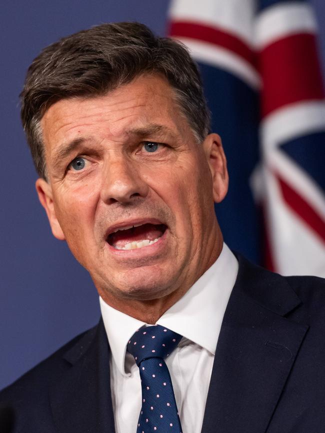 Angus Taylor is in the running to become the next Liberal leader. Picture: NewsWire / Monique Harmer