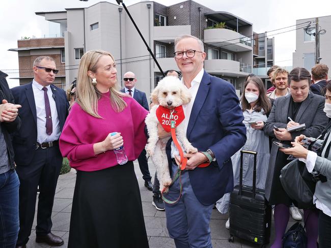 Anthony Albanese takes his dog Toto to vote on during the 2022 federal election. Picture: Sam Ruttyn