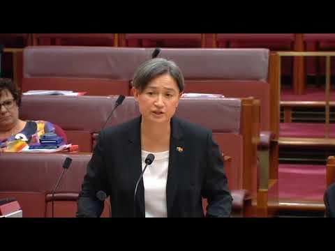 Australian Senator's Rainbow Scarf Angers Liberal Member During Same-Sex Marriage Debate. Credit - Parliament of Australia via Storyful