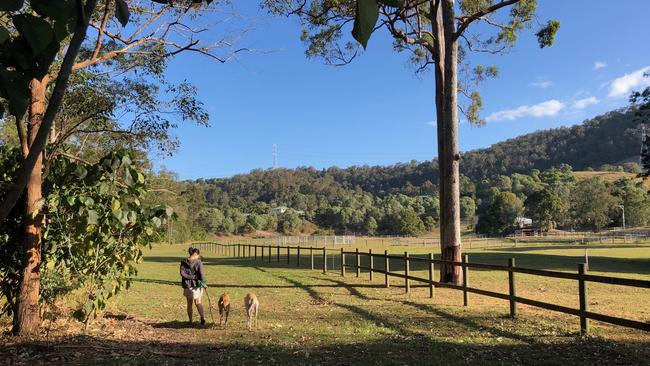 A beautiful walk at an Upper Coomera easement on the Gold Coast. Picture: Amanda Robbemond