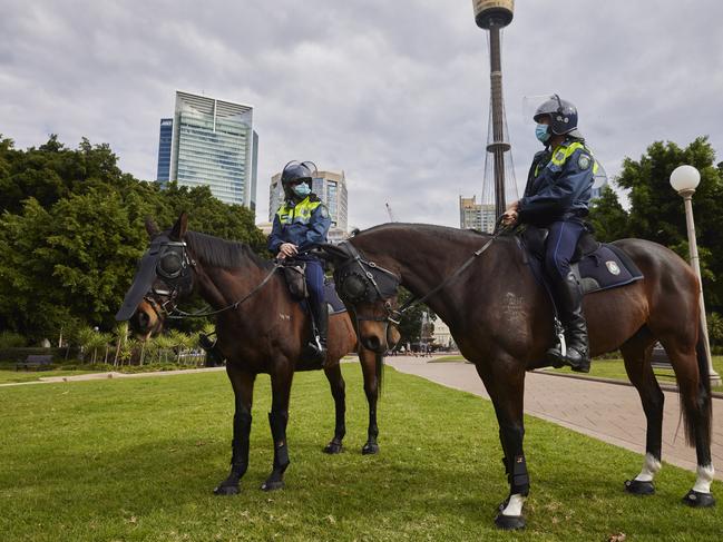 A man will face court after allegedly threatening to harm police horses online. Horses from the Mounted Unit of NSW Police are seen in Hyde Park on July 31. Picture: Brook Mitchell/Getty Images