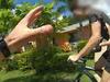 200 kids, 600 charges: Cops ramp up overtime patrols