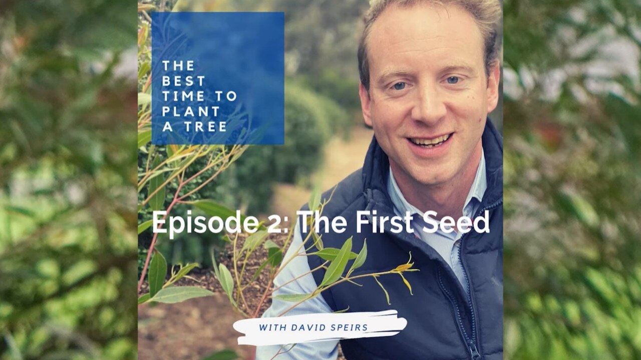 It’s not his first time delving into podcasting; in 2021 Speirs launched a show called “The Best Time to Plant a Tree”.