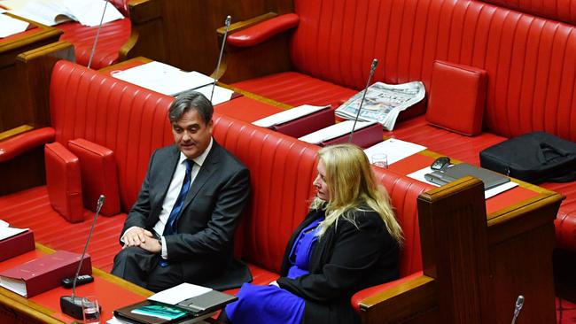 Liberal MP Andrew McLachlan and Greens MP Tammy Franks during question time in the SA Upper House last year. Picture: AAP / David Mariuz