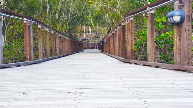 The boardwalk. Picture: Gold Coast City Council