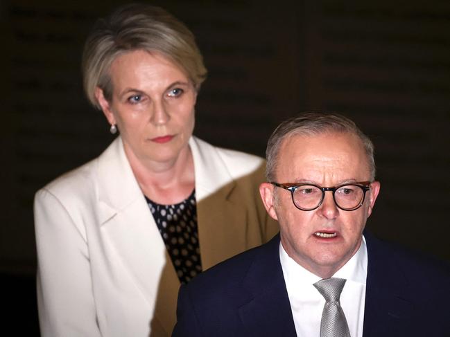 Australiaâs Prime Minister Anthony Albanese (R) stands with Australiaâs Minister for the Environment, Tanya Plibersek, as he speaks during a press conference at the Sydney Jewish Museum in Sydney on December 11, 2024. Albanese in a statement on social media said "I stand with the Jewish community and unequivocally condemn this attack", after vandals daubed anti-Israel graffiti in a Sydney suburb on December 11, days after a Melbourne synagogue was set ablaze. (Photo by DAVID GRAY / AFP)