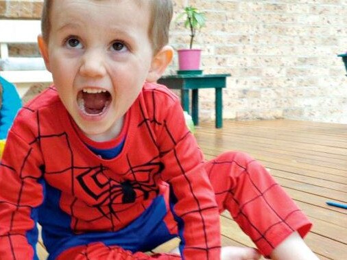 Moynihan was the lead detective on the William Tyrrell disappearance case.