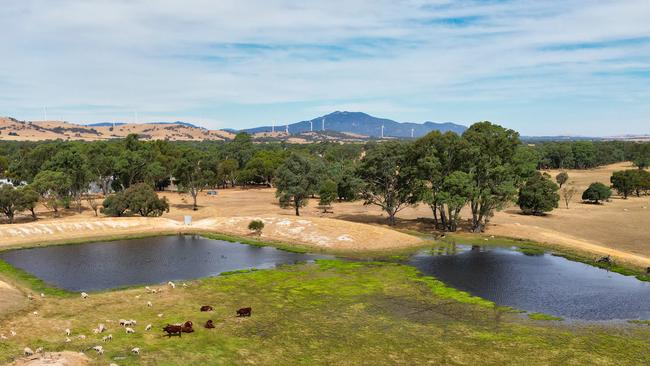 The Shea family purchased the 285ha grazing block at 884 Warrayatkin Road, Ararat, on Friday.