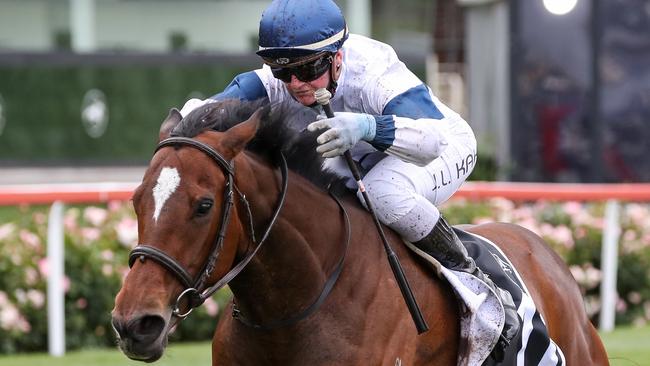 Jamie Kah pilots Miami Bound to victory in the Moonee Valley Gold Cup. Picture: Racing Photos via Getty Images