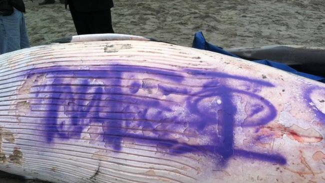 Tagged ... police say the purple markings are not gang-related and appear to be Greek letters. Picture: Twitter