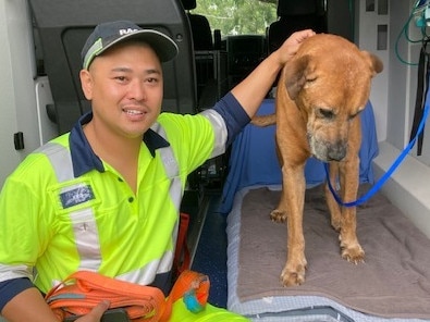 Storm water drain rescue at Greenslopes. The man who rescued the bull mastiff cross is RACQ patrol driver Kris Guerrero. Story to come shortly.