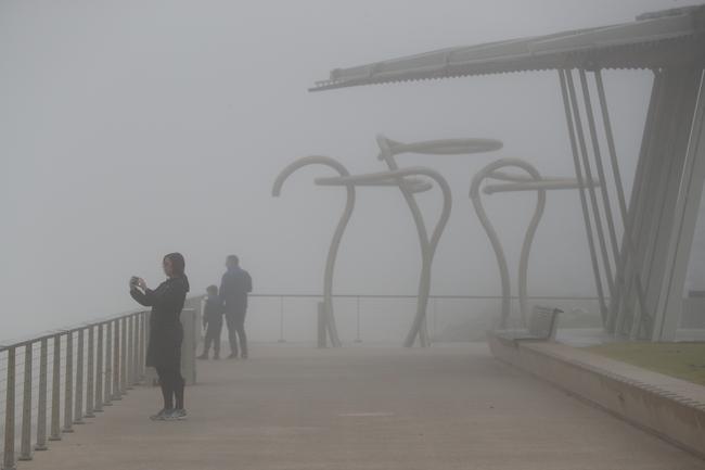 Fog around Henley Beach on July 14. Picture: Tait Schmaal.