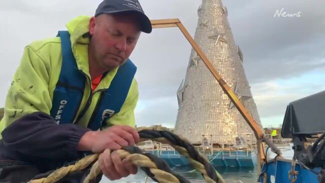 Geelong's floating Christmas tree