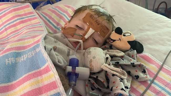 The little boy’s family have been in a ‘living nightmare’ since he died. Picture: GoFundMe