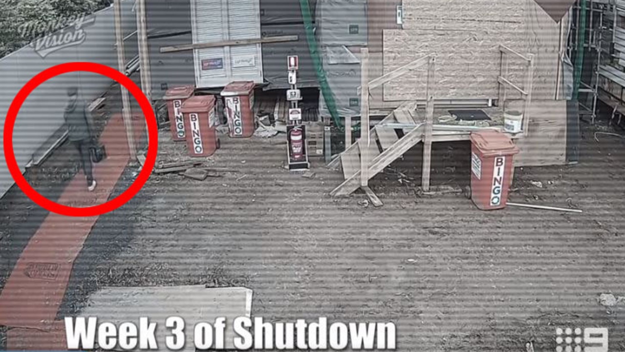 Yep, that’s Harry, sneaking back during shutdown. Picture: Channel 9