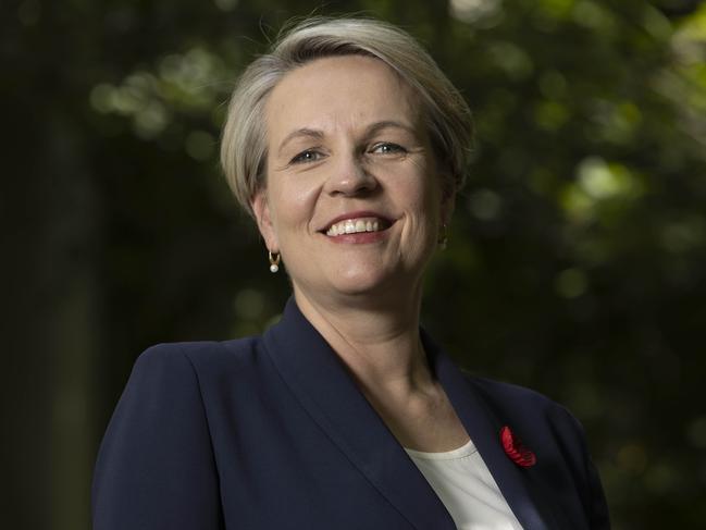 Some union officials have called for Tanya Plibersek to lead Labor. Picture: NCA NewsWire/Gary Ramage