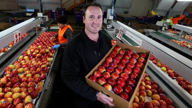 Scott Montague in his apple packing shed in Narre Warren, Victoria.