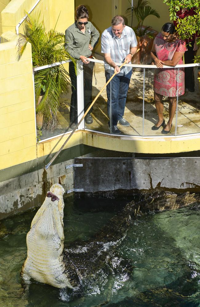 Shadow Minister for Tourism, Anthony Albanese, visits Darwin's Crocosaurus Cove and feeds a saltwater crocodile with Senator Nova Peris.