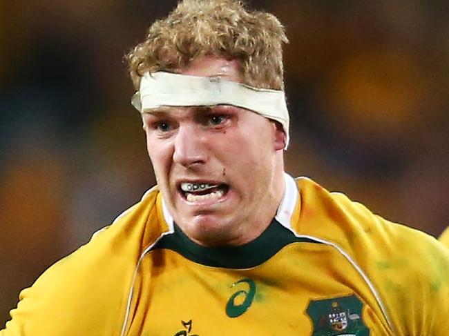 SYDNEY, AUSTRALIA - AUGUST 08: David Pocock of the Wallabies makes a break during The Rugby Championship match between the Australia Wallabies and the New Zealand All Blacks at ANZ Stadium on August 8, 2015 in Sydney, Australia. (Photo by Matt King/Getty Images)