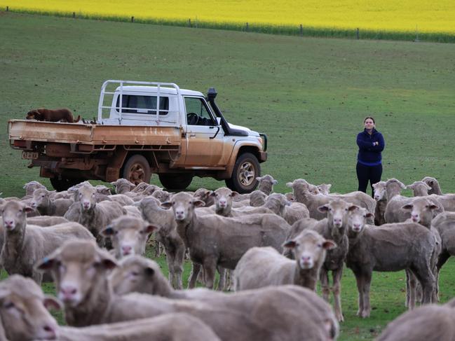 Ms Knapp at her family property near Katanning. Picture: Charlie Peel