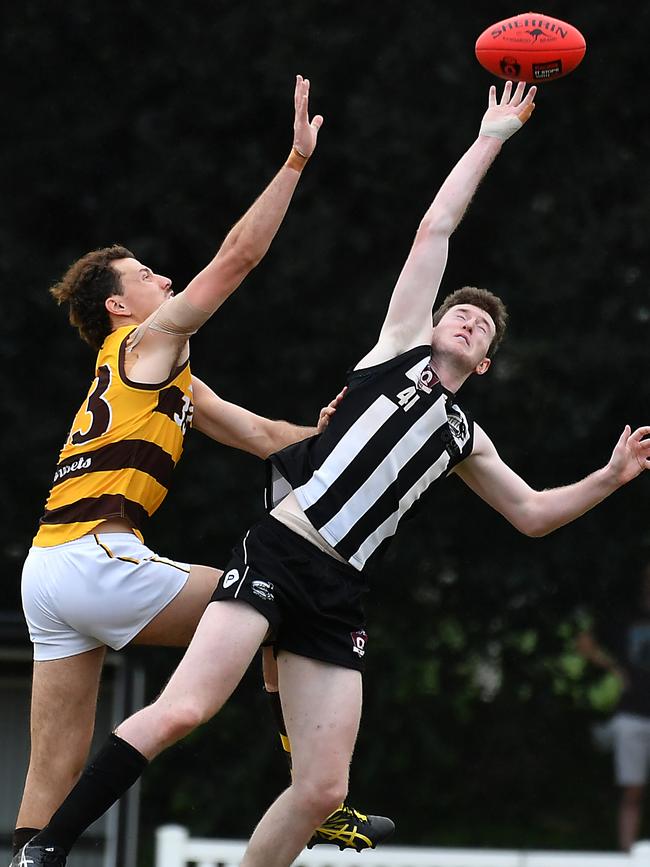 Rucks Will Wolbers and Ethan Harris QAFL – Aspley v Sherwood Magpies in senior Australian football QAFL competition Saturday April 23, 2022. Picture, John Gass