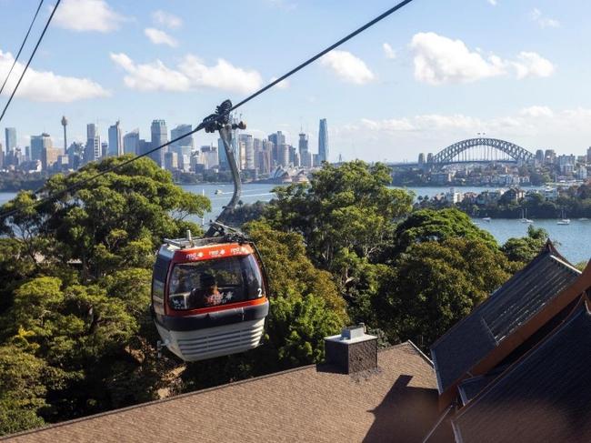 Taronga Zoo concept photos of the new sky safari