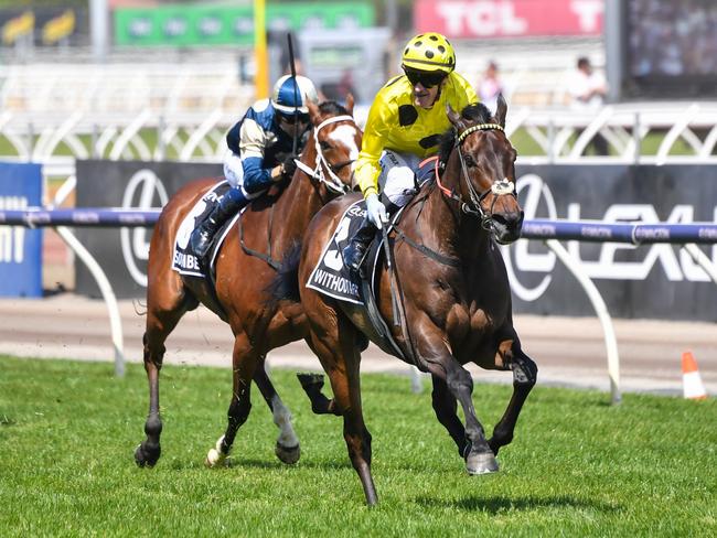 Without A Fight (IRE) ridden by Mark Zahra wins the Lexus Melbourne Cup at Flemington Racecourse on November 07, 2023 in Flemington, Australia. (Photo by Pat Scala/Racing Photos via Getty Images)