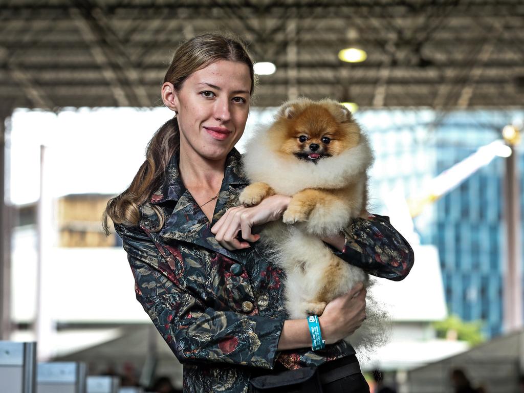 Olga McKeown with 10 month old Pomeranian, Sammie, during the 2022 Ekka dog show. Picture: Zak Simmonds