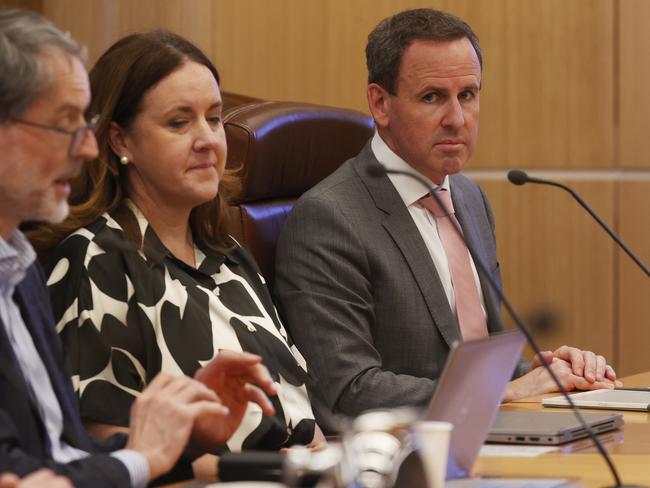 Craig Barling Deputy Vice Chancellor UTAS. UTAS Financial Position inquiry at parliament. Picture: Nikki Davis-Jones