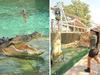 Woman mauled in horror croc attack