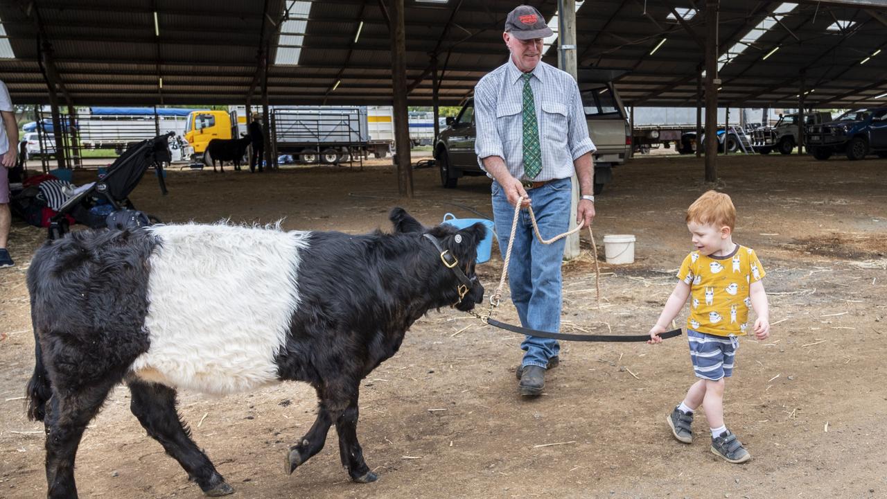 Zach Thomas leads a 5 month old Freedom Rise Galloway calf with the help of Raymond Cross at the Toowoomba Royal Show. Saturday, March 26, 2022. Picture: Nev Madsen.