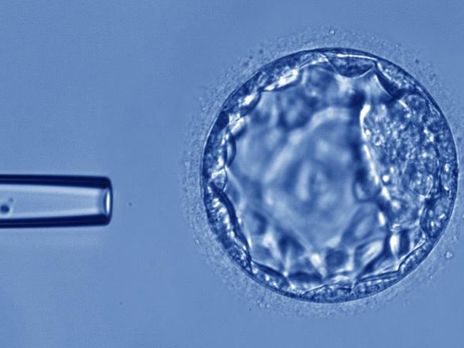 Monash IVF hit with class action over destroyed embryos