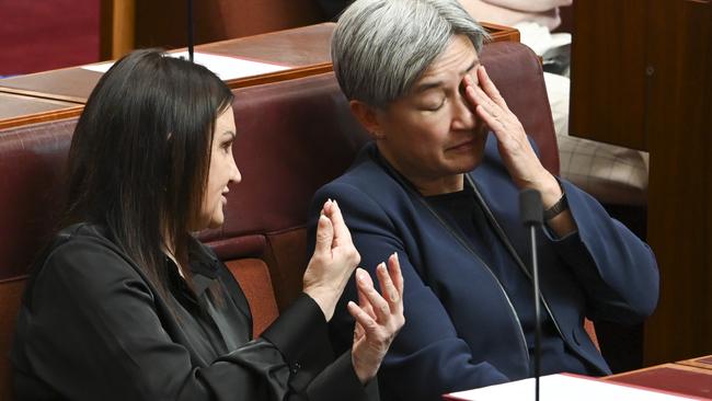 Senator Jacqui Lambie and Senator Penny Wong. Picture: NewsWire / Martin Ollman